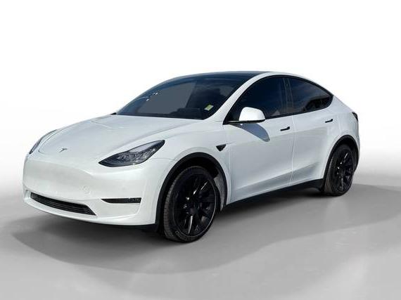 TESLA MODEL Y 2021 5YJYGDEE3MF160634 image